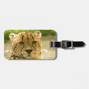 Étiquette À Bagage Guépard