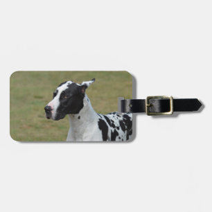 Étiquette À Bagage Harlequin great dane