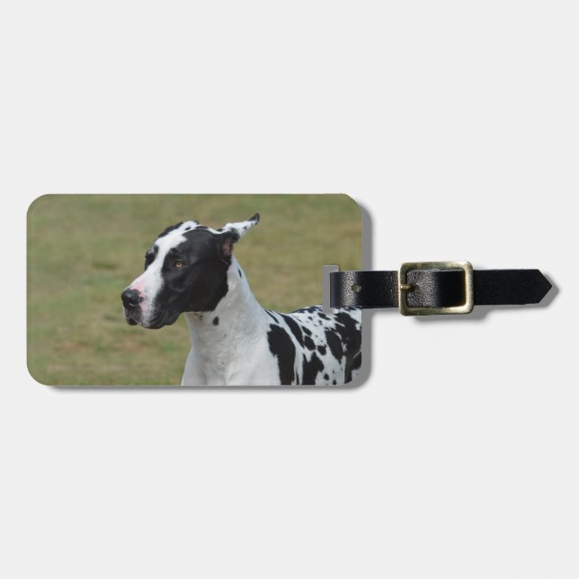 Étiquette À Bagage Harlequin great dane (Devant horizontal)