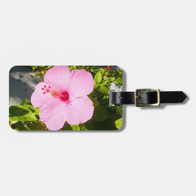 Étiquette À Bagage Hibiscus rose Fleur tropicale (Devant horizontal)