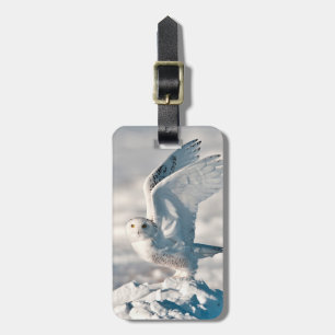 Étiquette À Bagage Hibou des neiges décollant de la neige