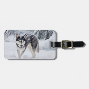 Étiquette À Bagage Husky dans la neige