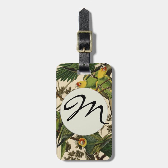 Étiquette À Bagage Illustration du perroquet de Caroline d'Audubon (Devant Vertical)