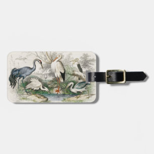 Étiquette À Bagage Impression d'art de la nature Héron, Cigogne et Gr