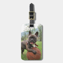 Insertion de bouledogue français votre propre