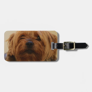 Étiquette À Bagage Jake le Yorkie Terrier