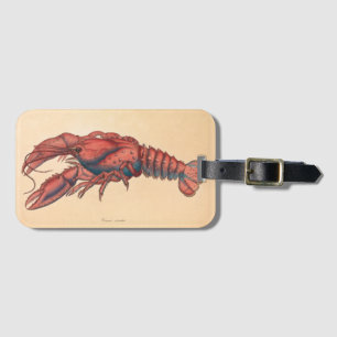 Étiquette À Bagage James Sowerby Homard serbé