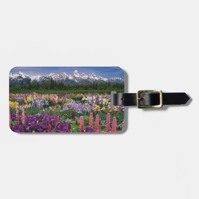 Étiquette À Bagage jardin d'Iris et de Lupine et chaîne de Teton, (Devant horizontal)
