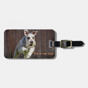 Étiquette À Bagage Je suis sur mon chemin ! - Schnauzer miniature