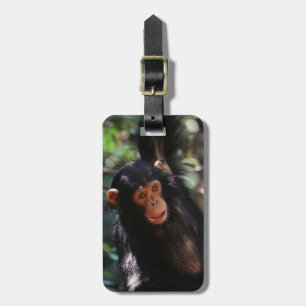 Étiquette À Bagage Jeune chimpanzé