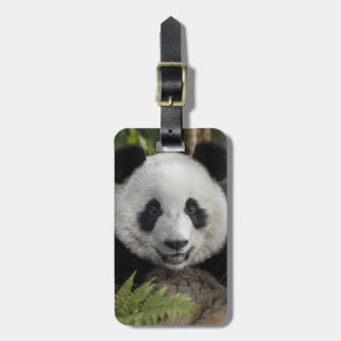 Étiquette À Bagage Jeune panda heureux, Chine