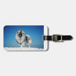 Étiquette À Bagage keeshond complètement dans snow.png