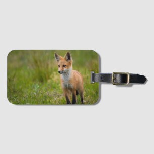 Étiquette À Bagage Kit Renard Rouge Dans Pré Grassy
