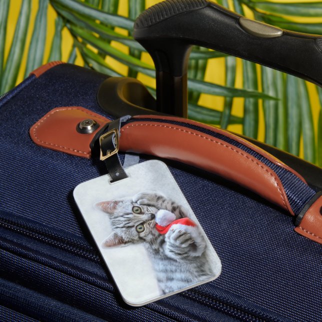 Étiquette À Bagage Kitten (Insitu Rectoal 1)
