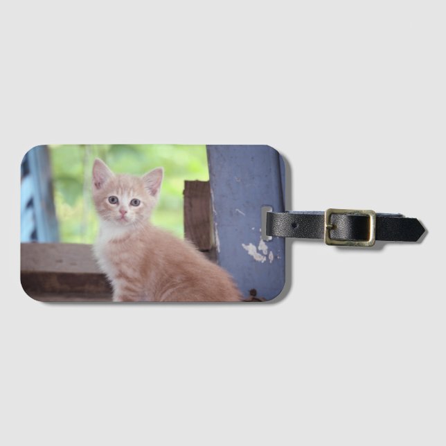 Étiquette À Bagage Kitten (Devant Horizontal)