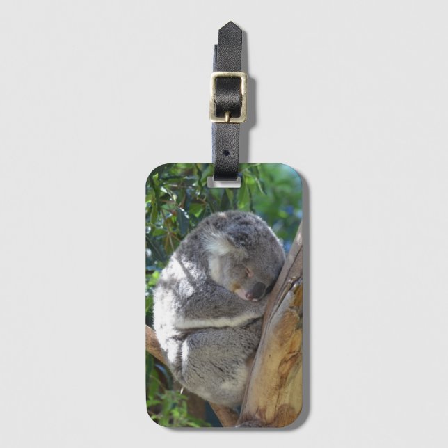 Étiquette À Bagage Koala dormant dans l'arbre (Devant Vertical)