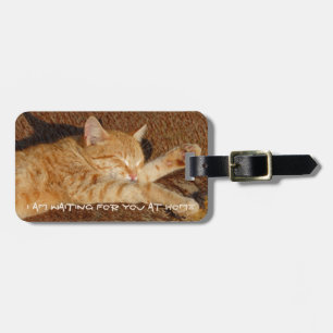 Étiquette À Bagage La photo de l'animal familier personnalisé