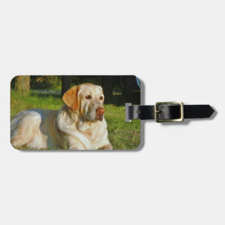Étiquette À Bagage Labrador retriever jaune