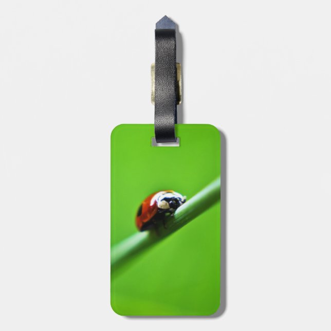 Étiquette À Bagage Ladybug (Dos Vertical)