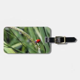 Étiquette À Bagage Ladybug (Coccinellidae)