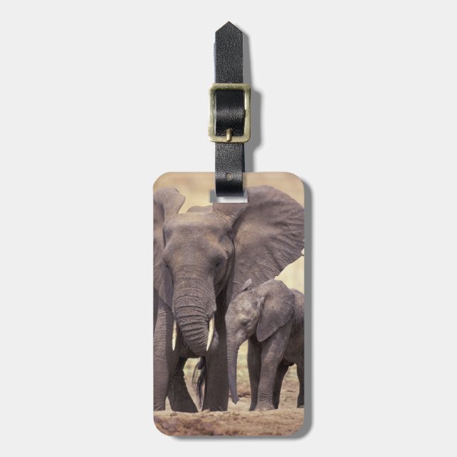 Étiquette À Bagage L'Afrique, Tanzanie, parc national de Tarangire. 2 (Devant Vertical)