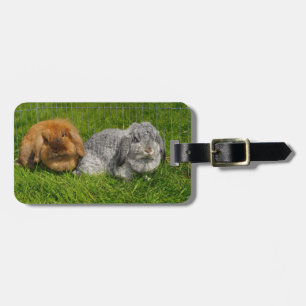 Étiquette À Bagage Lapin Lapin Lapin Mini Lop de Lionhead Holland