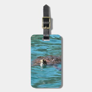 Étiquette À Bagage L'art de la faune de la tortue de mer Loggerhead