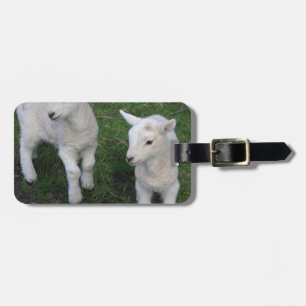 Étiquette À Bagage Le bébé mignon de ranch de ferme jumelle l'agneau