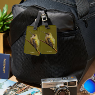 Étiquette À Bagage Le colibri d'Anna sur la Trumpetvine écarlate