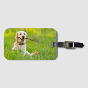 Étiquette À Bagage Le Labrador Jaune se rapproche avec un bâton