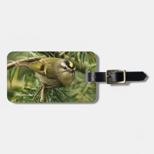 Étiquette À Bagage Le petit petit Kinglet mignon provoque un remue-mé
