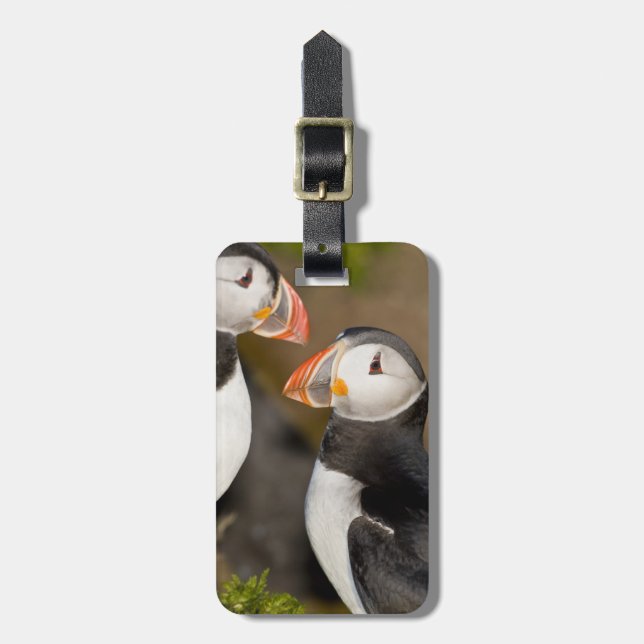 Étiquette À Bagage Le Puffin Atlantique (Devant Vertical)