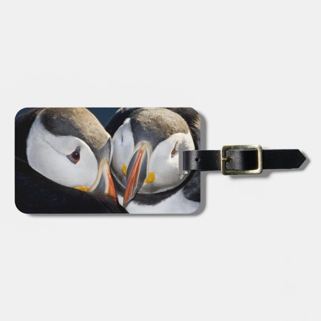 Étiquette À Bagage Le Puffin Atlantique, un oiseau marin pélagique (Devant horizontal)