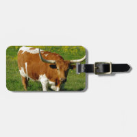 Le Texas Longhorn