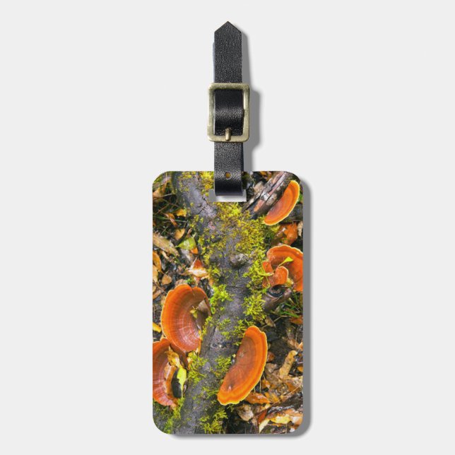 Étiquette À Bagage Les Champignons Cultivant Sur Les Branches, Le Kny (Devant Vertical)