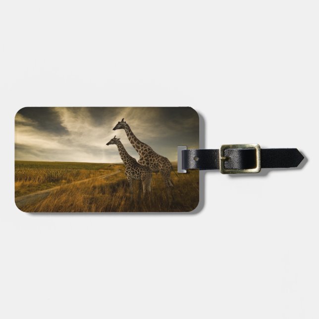 Étiquette À Bagage Les girafes et le paysage (Devant horizontal)