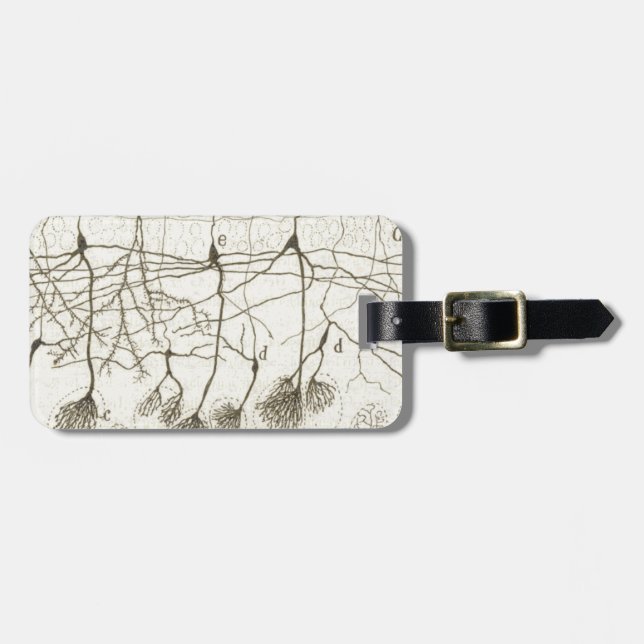 Étiquette À Bagage Les neurones 8 de Cajal (Devant horizontal)