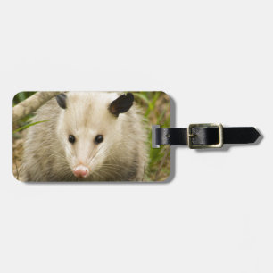 Étiquette À Bagage Les opossums sont jolis - opossum Didelphimorphia