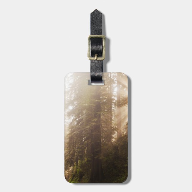 Étiquette À Bagage Les séquoias dans le brouillard matinal avec les r (Devant Vertical)
