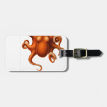 Les surgeons et voient