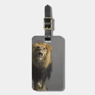 Étiquette À Bagage Lion hurlant