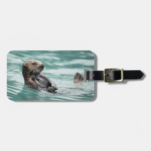 Étiquette À Bagage Loutre de mer de observation