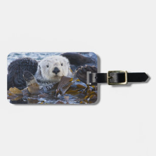Étiquette À Bagage Loutre de mer enveloppée de kelp