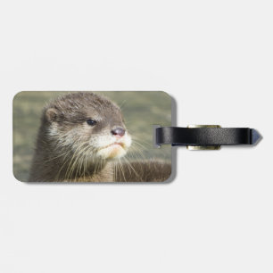 Étiquette À Bagage Loutre mignonne de bébé