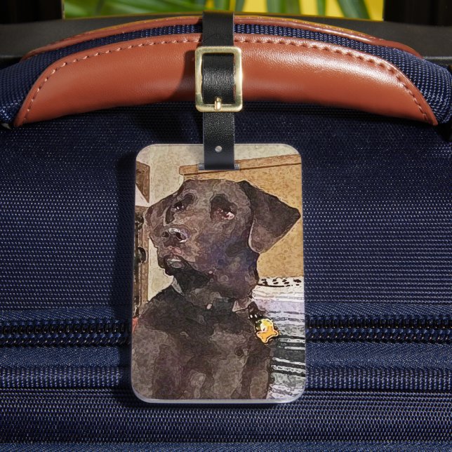 Étiquette À Bagage Magnifique Récupérateur de chocolat Labrador (Insitu Rectoal 2)