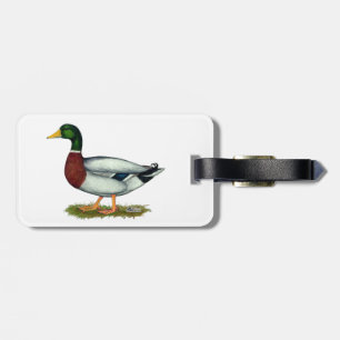 Étiquette À Bagage Mallard Duck Drake