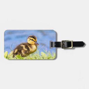 Étiquette À Bagage Mallard Duckling