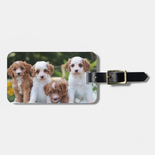 Étiquette À Bagage Marionnettes sucrées Cavapoo (Devant horizontal)