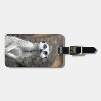 Étiquette À Bagage Meerkat