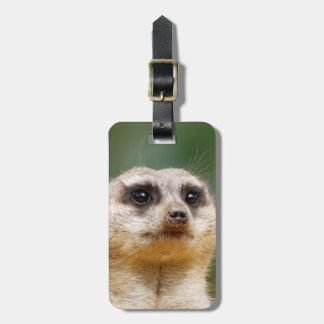 Étiquette À Bagage Meerkat20151001